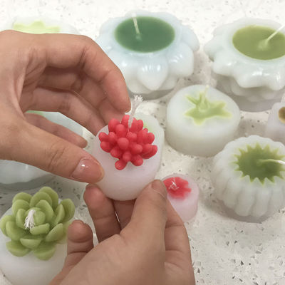 comprar Molde de velas suculentas MHC durável Velas 3D únicas Pequeno Kit de fabricação de mini-suculentes Ferramentas de bolo Tipo de moldes online manufacture