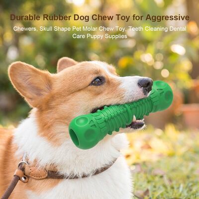 comprar Brinquedo de Osso de Borracha Natural para Cães, Osso de Silicone em Formato de Osso, Brinquedo para Mordida de Filhotes, Limpeza de Dentes, Cuidados Dentários, Suprimentos para Filhotes online manufacture